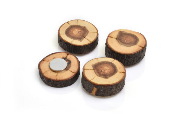 Magnete aus Holz, Holzmagnete, Kühlschrankmagnete handgefertigt, Magnete für Magnettafeln, Handgefertigtes aus Holz, Holzknopf & mehr