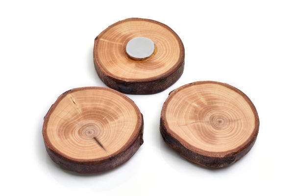 Magnete aus Holz, Holzmagnete, Kühlschrankmagnete handgefertigt, Magnete für Magnettafeln, Handgefertigtes aus Holz, Holzknopf & mehr