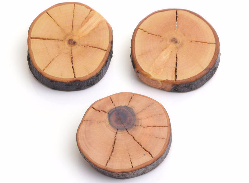 Magnete aus Holz; Kühlschrankmagnete; Magnete für Magnettafeln; Holzarbeiten; Handgefertigtes aus Holz; Dekoratives aus Holz; Geschenkideen aus Holz; Geschenke aus Holz; Holzknopf & mehr; Zypressenholz